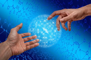 kaiyun网站-德国仰泳项目技术稳定提升，德国仰泳项目技术稳定提升方案