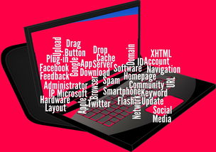 开云平台-CBA开展球员社交媒体管理课程提高职业素养，运动员社交媒体